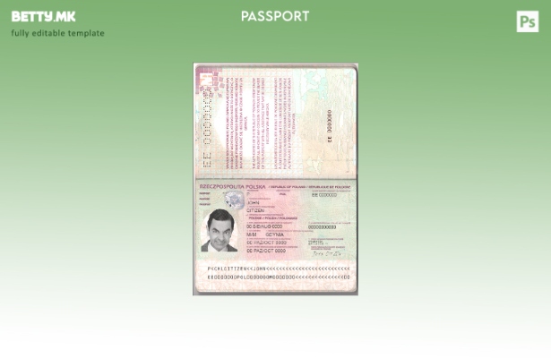 Шаблон за полски пасош ( ) модерен стил